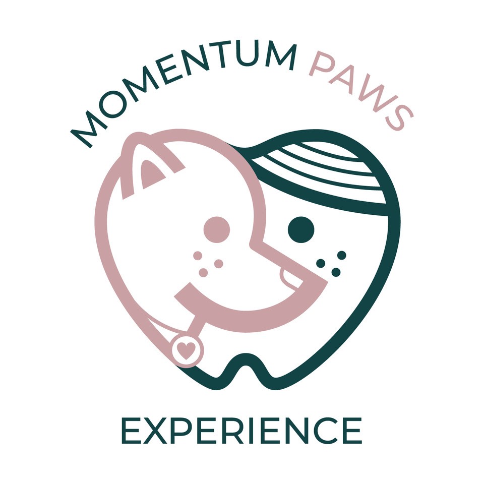 Momentum PAWS Experience